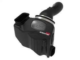 Momentum HD Pro DRY S Air Intake System 50-70056D